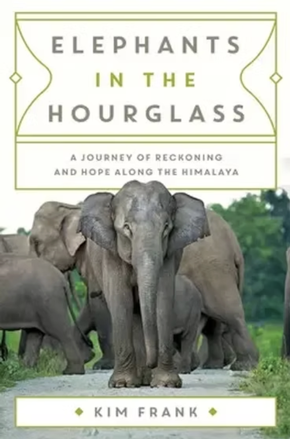 Elephants in the Hourglass book cover